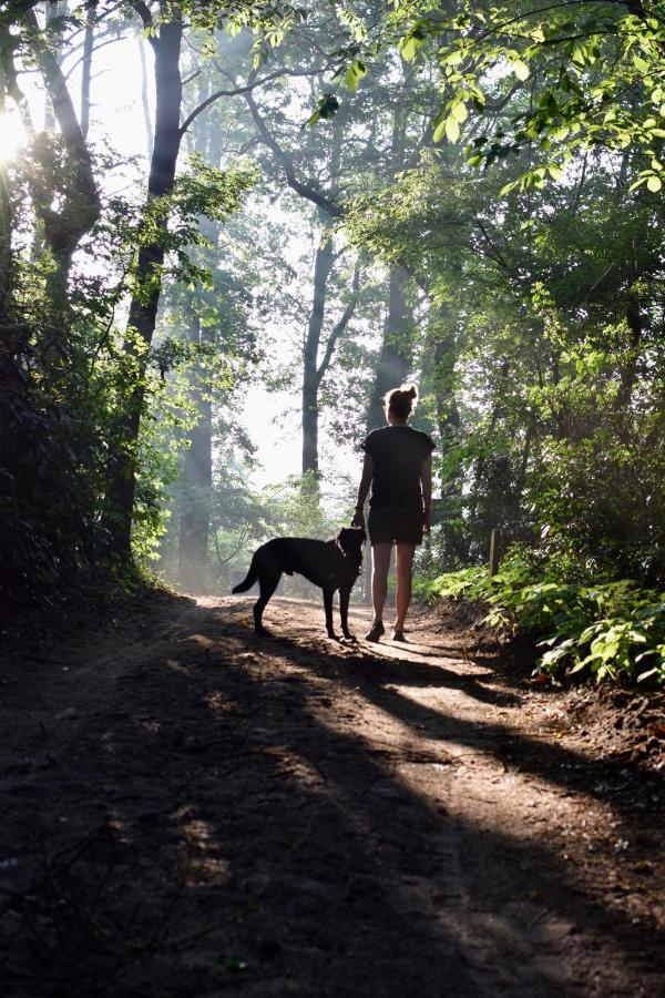 Natuurlogies Buurse Buiten Haaksbergen Zewnętrze zdjęcie