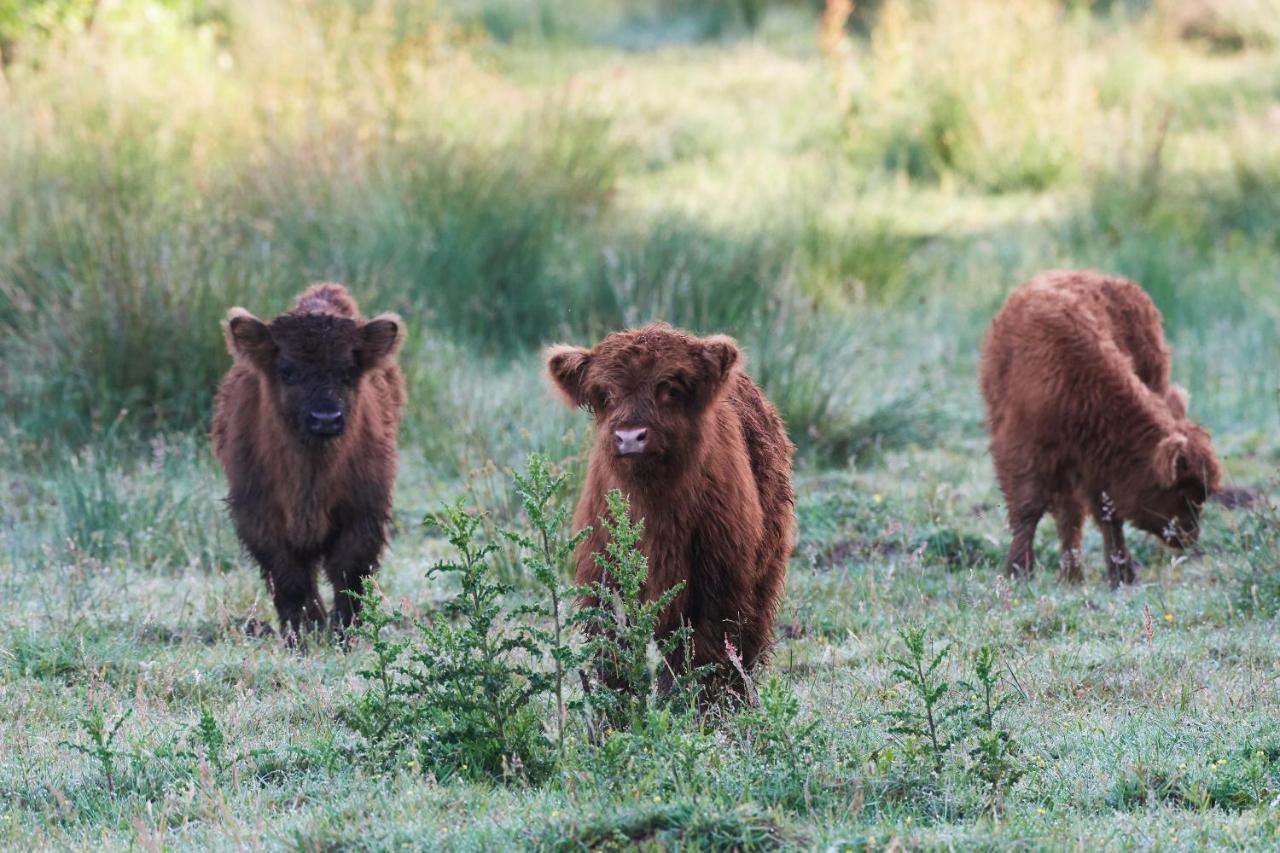 Natuurlogies Buurse Buiten Haaksbergen Zewnętrze zdjęcie